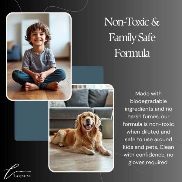 61kb3X9TwLL._AC_SL1000_ Brazilian Summers scented mop soap review Lapew premium floor cleaner