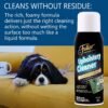 91qH8PuWAeL._AC_SL1500_ Fuller Brush Upholstery Cleaner review Multi Surface Solution for Stains and Odor Removal